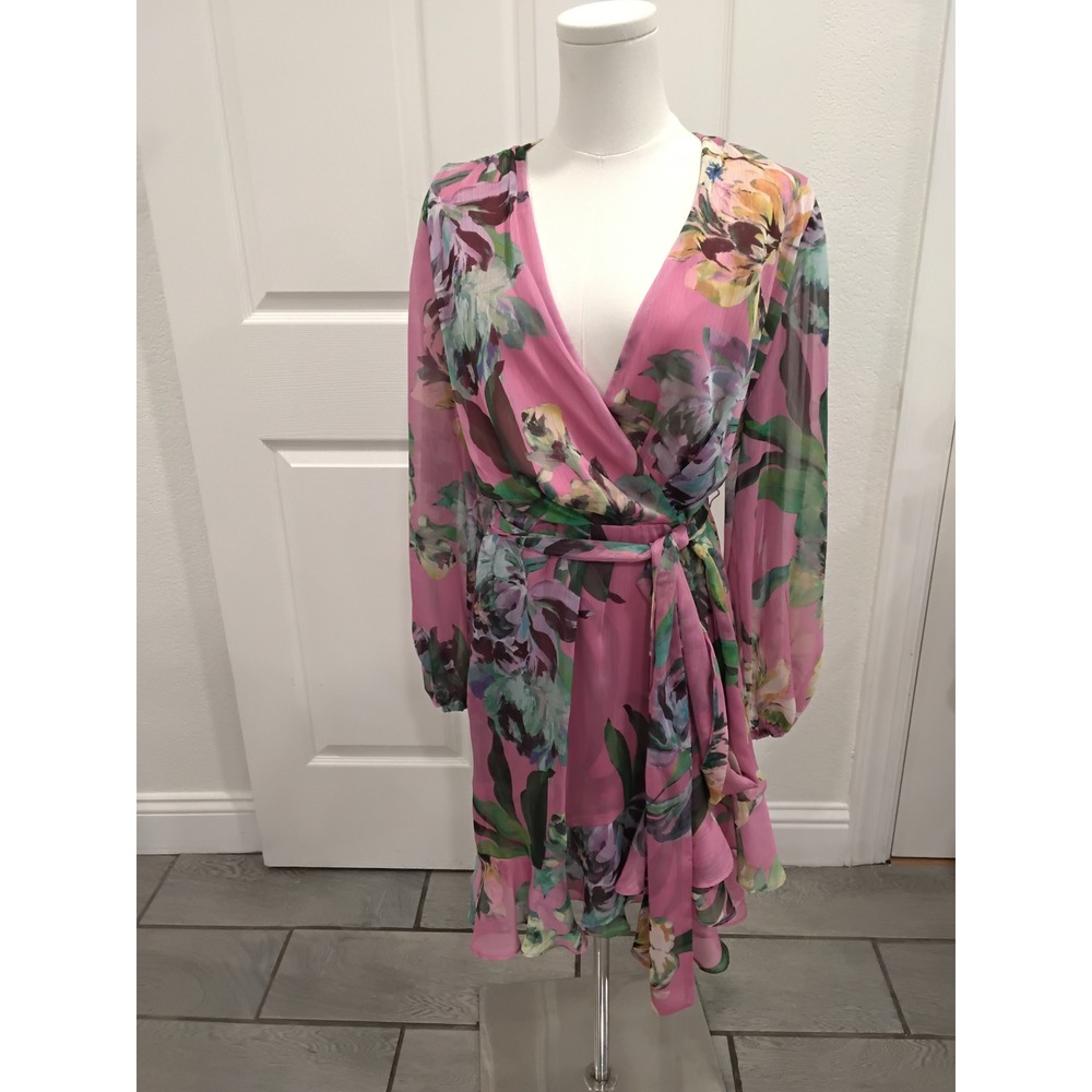 Alex Marie Pink Floral Wrap V-Neck Ruffle Hem Long Sleeve Dress Size 4 NEW